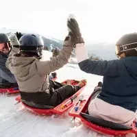 Luge Arc 1800