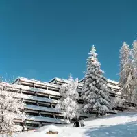 Résidence enneigée aux Arcs entourée de sapins couverts de neige sous un ciel bleu hivernal.