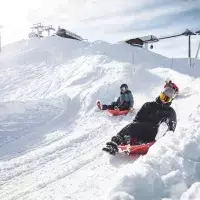 Descente en luge sur piste aménagée à Arc 2000.