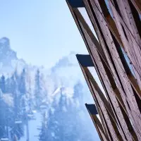 Visites guidées