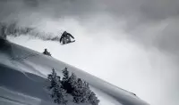 1999 - Freeride