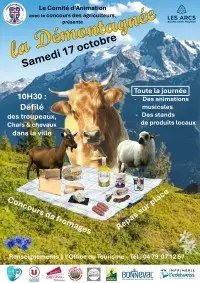 La Démontagnée_Bourg-Saint-Maurice