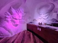Bar Village Igloo