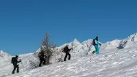 Arc 1800 Les tétras