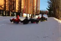 L'Aiguille Grive Chalets Hôtel