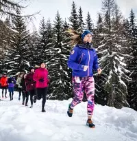 Snow Trail