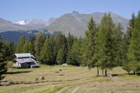 Randonnée culturelle : Courbaton & la forêt de Malgovert_Les Arcs
