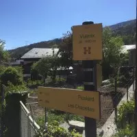 Vulmix