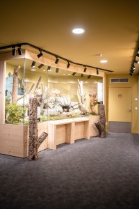 VISITE GUIDÉE DU MUSÉUM DES ANIMAUX - 25/03/2026_Les Arcs