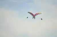Arcs en ciel