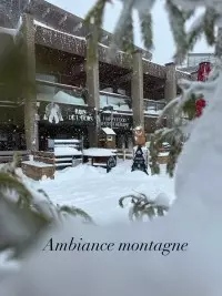 bois de l'ours