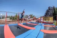 Trampoline