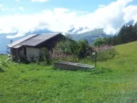 Barmont
