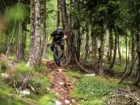 Bike Park les Arcs
