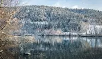 Marais 3 Hiver