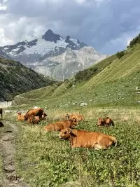 Col de La Seigne