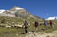 Ville des Glaciers