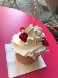 Coupe Régale Papilles