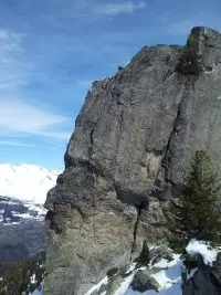 Les 2 têtes