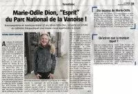 Article presse