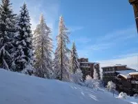Résidence Aiguille Grive 1, Apt 4/5 pers n°176_Les Arcs