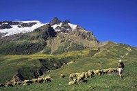 Col de la Seigne