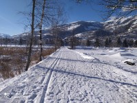 Piste de ski de fond