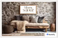 Identité visuelle Blanc Séjour Immobilier 2027