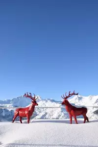 Club Med Arcs Panorama