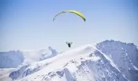 Darentasia