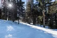 Les Sapins