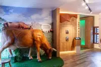 Expo 3 Carte Blanche