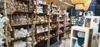 Les peluches !