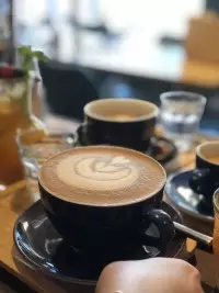 Coffee shop Arcus Coffee