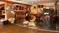 Intérieur - Les cafés l'or vert