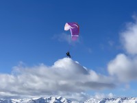 Vol massif
