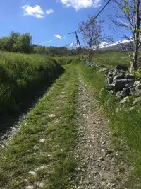 Vulmix