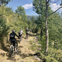 Summit Bike