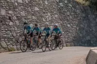 Location vélo