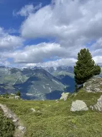 Signal des Têtes