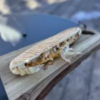 Panini