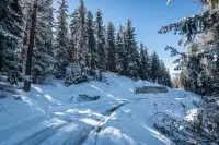 NDV par Barmont