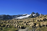 Vallée des Chapieux