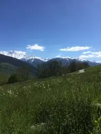 Vulmix
