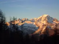 image3.JPG