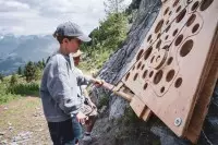 Roule ma boule - Parcours en bois géant_Les Arcs