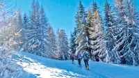 Ski de rando