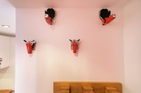 Appartement labellisé - Résidence Les Arolles