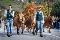 Éleveurs accompagnant leurs vaches tarines lors du défilé de la Démontagnée à Bourg Saint Maurice.