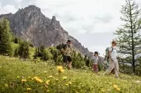 Randonnée en famille dans les paysages alpins des Arcs, au cœur d’un alpage fleuri.